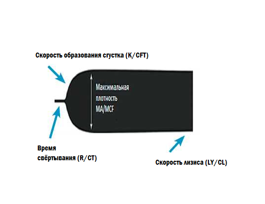 Тромбоэластограмма и основные ее показатели TEG/ROTEM Тромбоэластограмма и основные ее показатели TEG/ROTEM