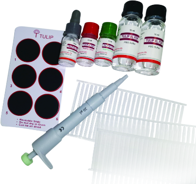 Набор для определения Д-димера