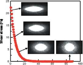 images of red blood cells